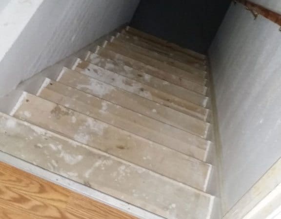 carpeted stair removed