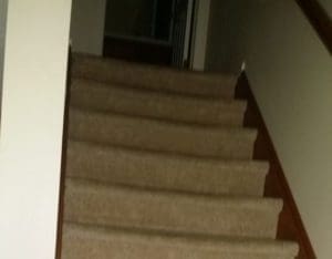 carpeted stair